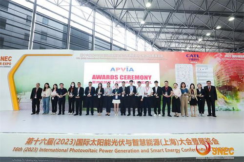 雙良2023SNEC光伏展圓滿落幕，連獲三項大獎彰顯科技實力